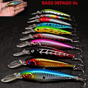 Minnow