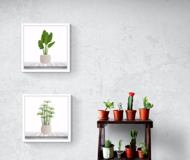 TROPICAL POT PERSEGI 2