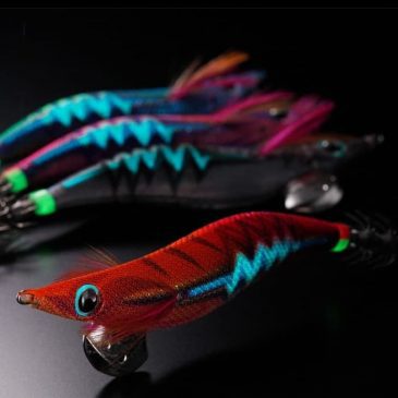 Egi jig