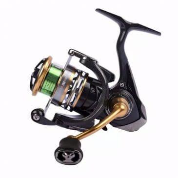 Reel Spinning