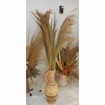 bunga rayung original