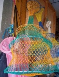 Koja wadah ikan